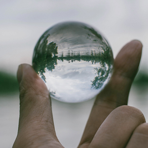 Transparency